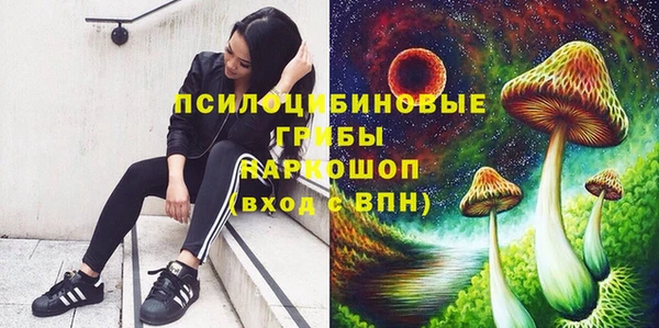 дмт Майский