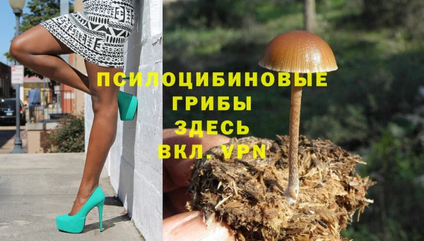 дживик Магадан