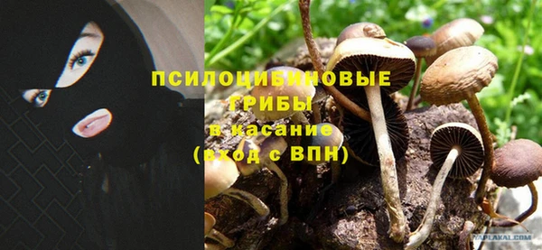 дживик Магадан