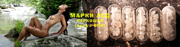 дживик Магадан